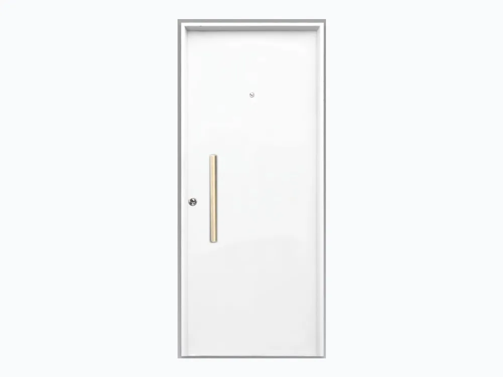 Puerta de Chapa Doble Inyectada Mod. 100 Ciega